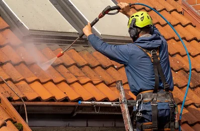 Démoussage et hydrofuge de toiture à Sauville